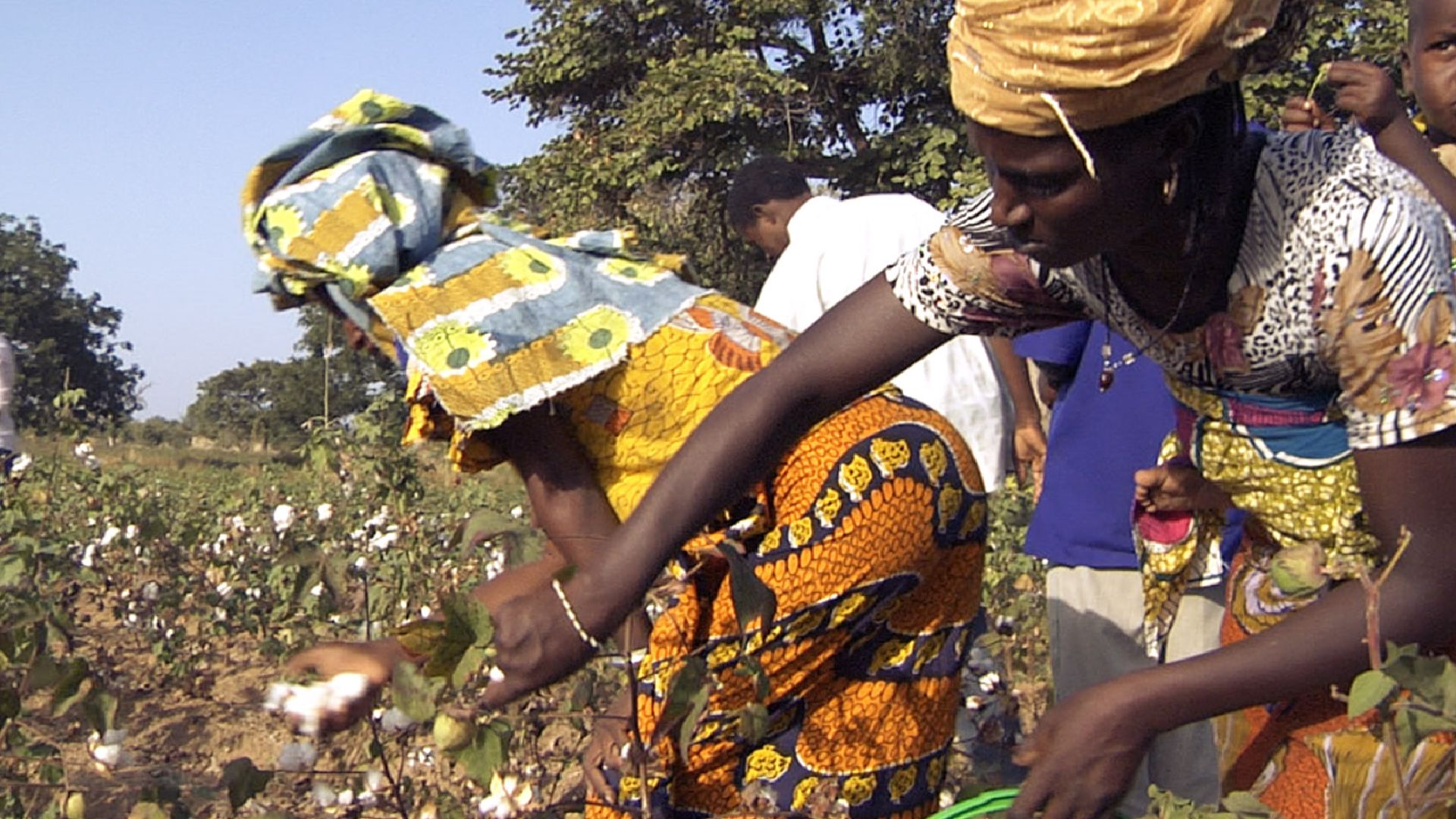 Bio-Baumwolle in Burkina Faso