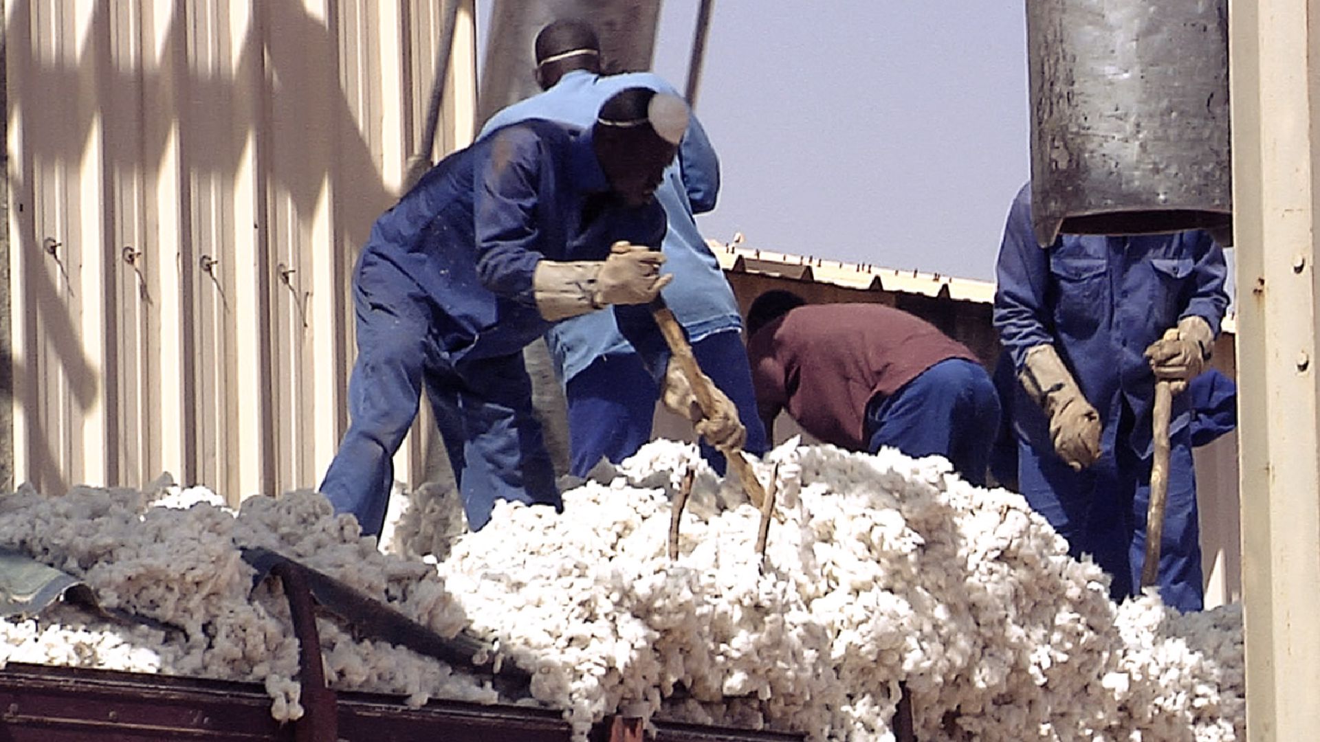 Bio-Baumwolle in Burkina Faso