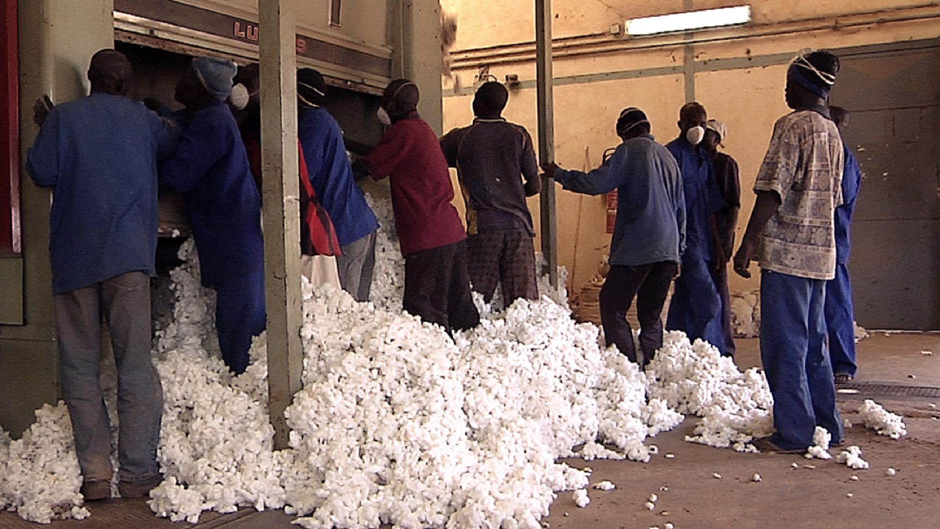 Bio-Baumwolle in Burkina Faso