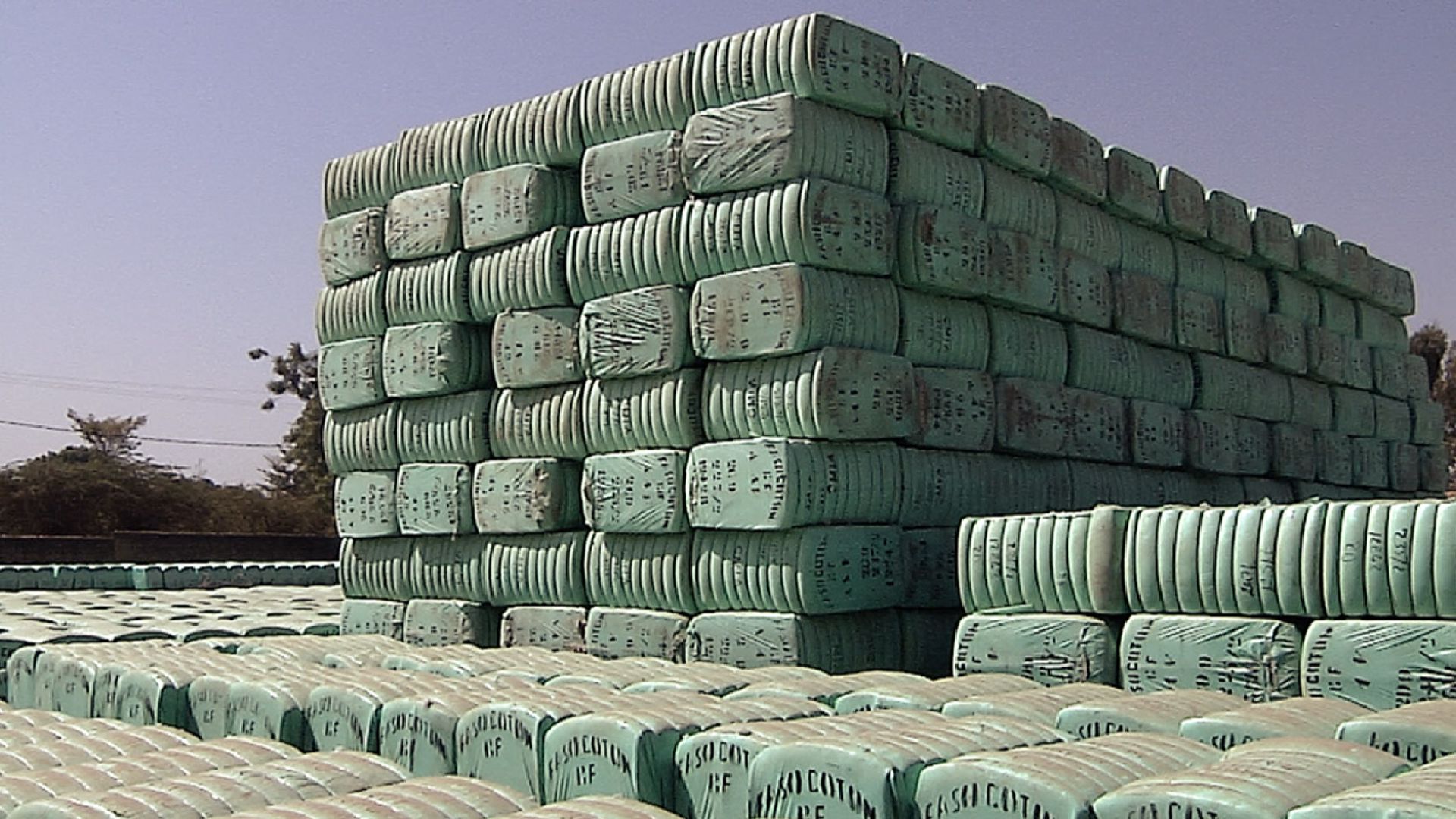 Bio-Baumwolle in Burkina Faso