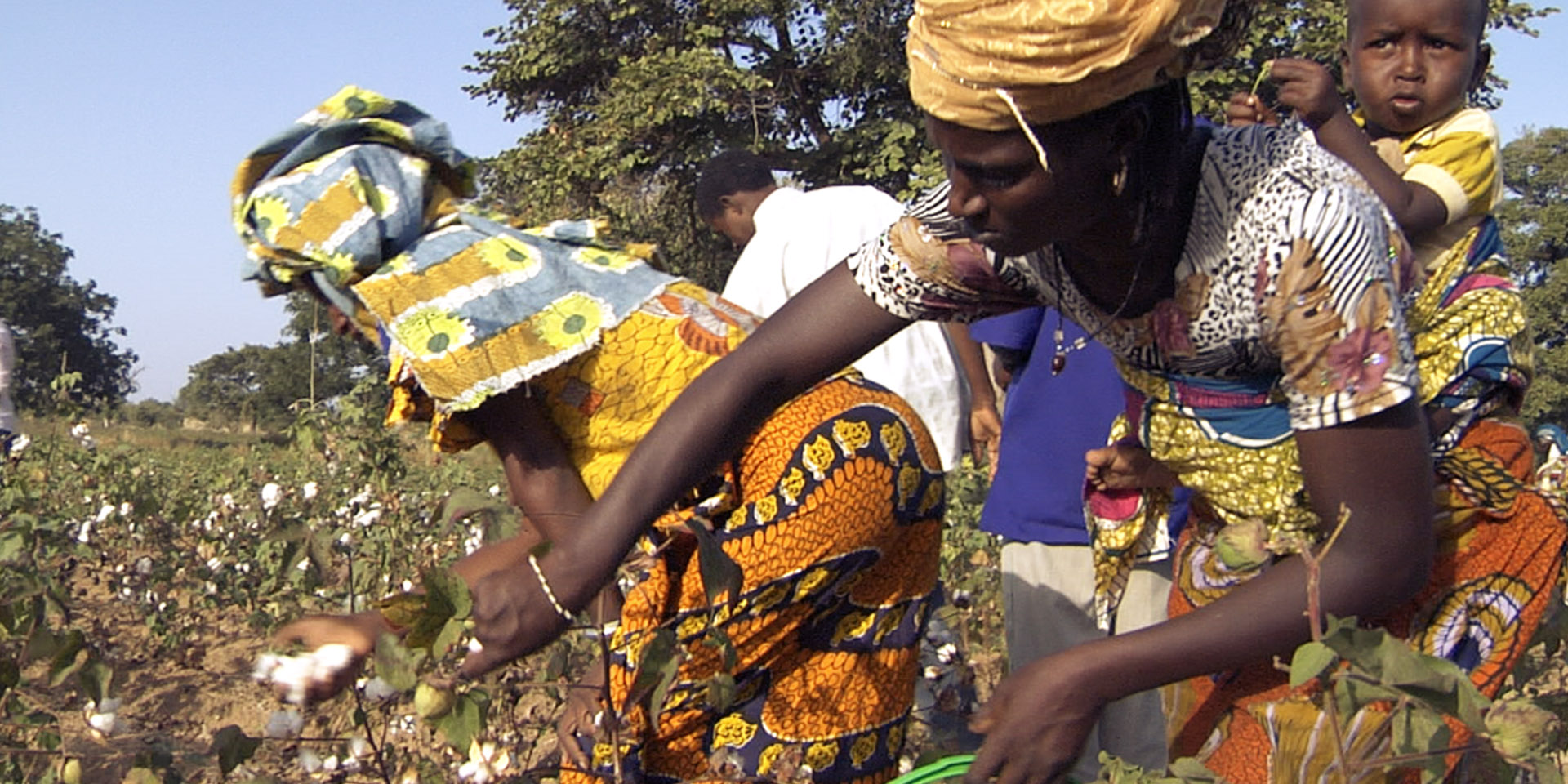 hessnatur | "Bio-Baumwolle in Burkina Faso" | Image Documentary
