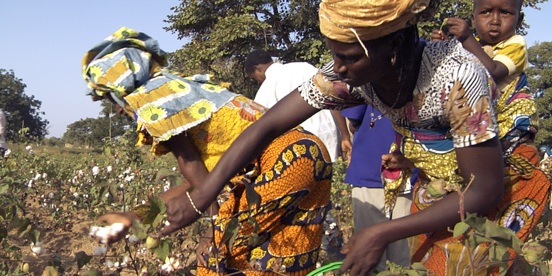 hessnatur | "Die textile Kette bei hessnatur" | Commercial Documentary